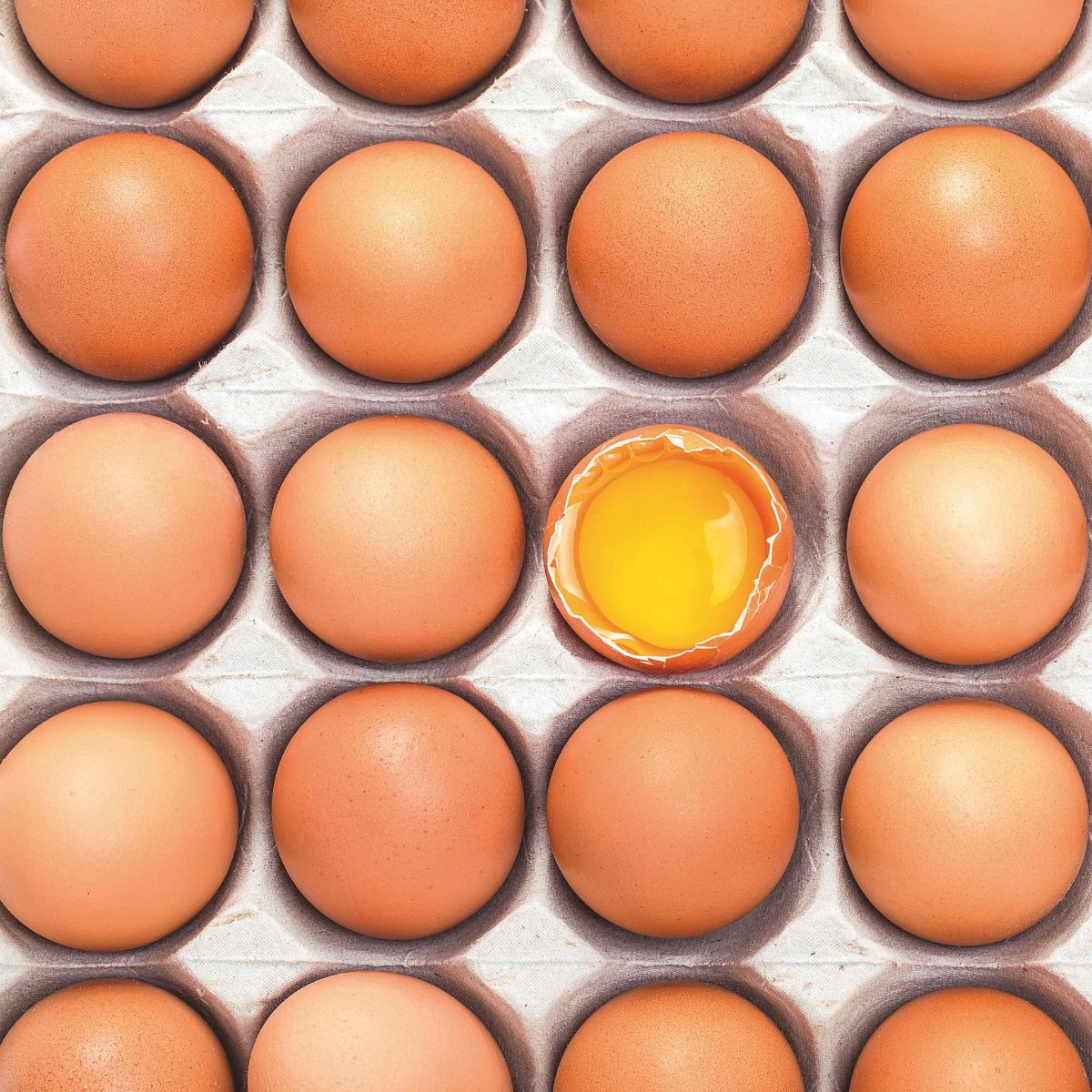 Toda la verdad sobre las proteínas: ¿de qué está hecho realmente ese batido que bebes?